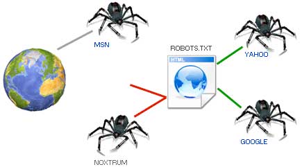 Robots.txt