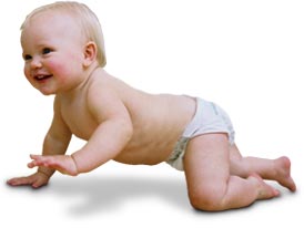 8-meses 8-meses