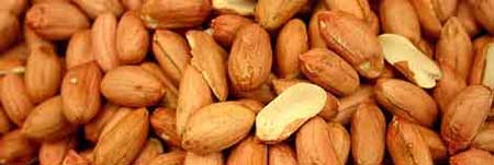 Alergias alimentos Alergias alimentos