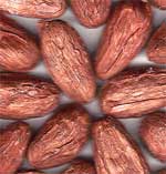 semillas de cacao