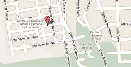 Insertar Google Maps en WordPress