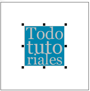 Generar favicon paso 2: imagen ajustada