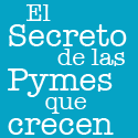 Información y consejos para vender más El Secreto de las Pymes que crecen